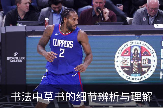 书法中草书的细节辨析与理解